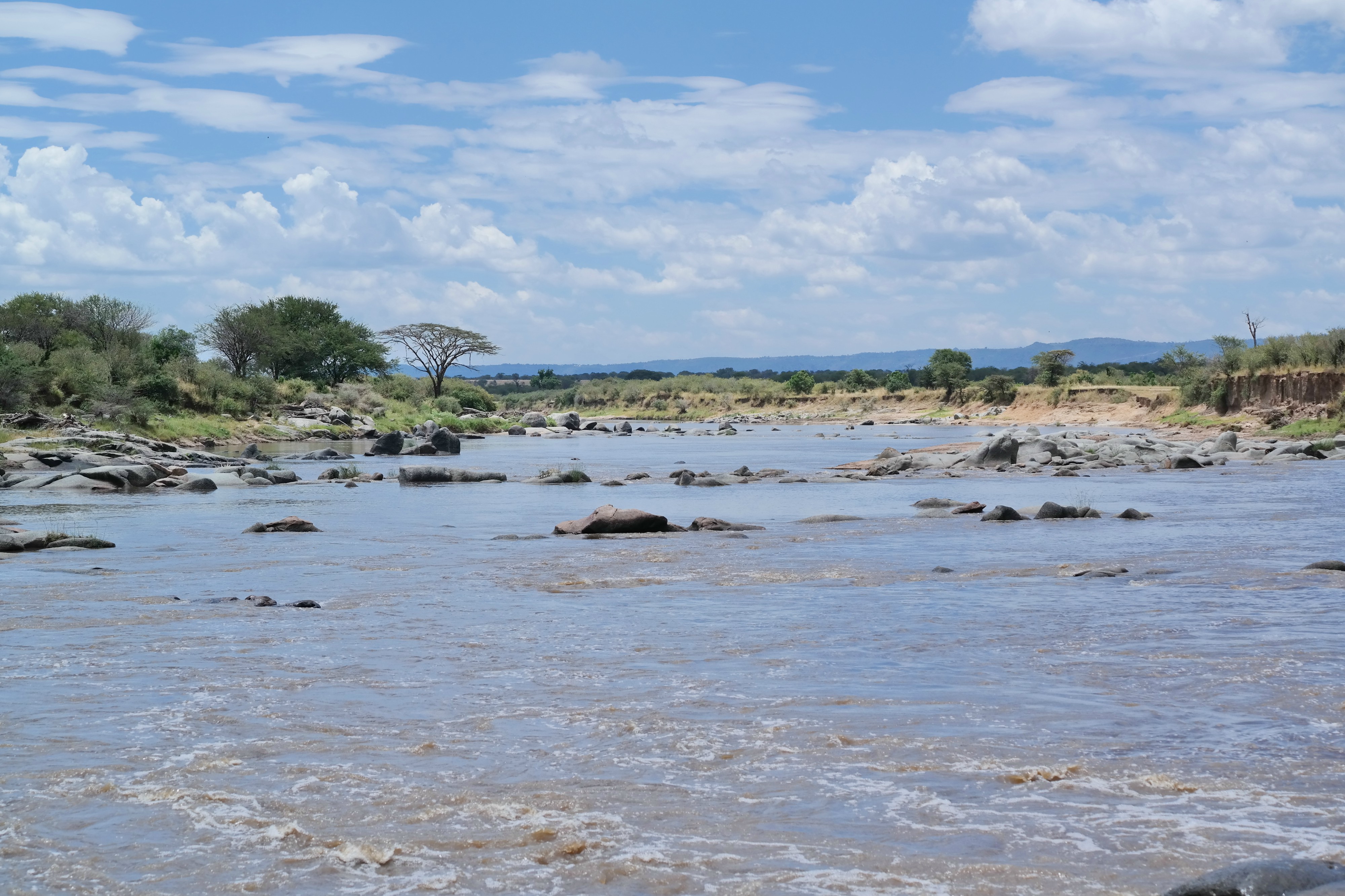 Mara River and Serengeti National Park | SELVA